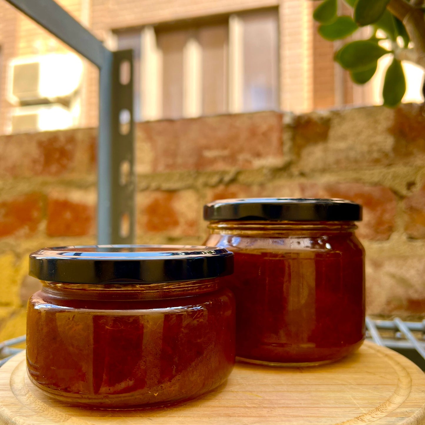 Apricot & Ginger Jam 🍑✨