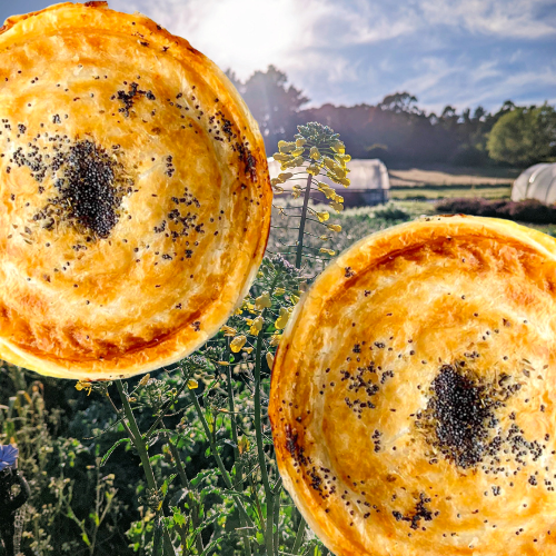 Pocket Pies-Pumpkin Dahl SlowFoodCatering